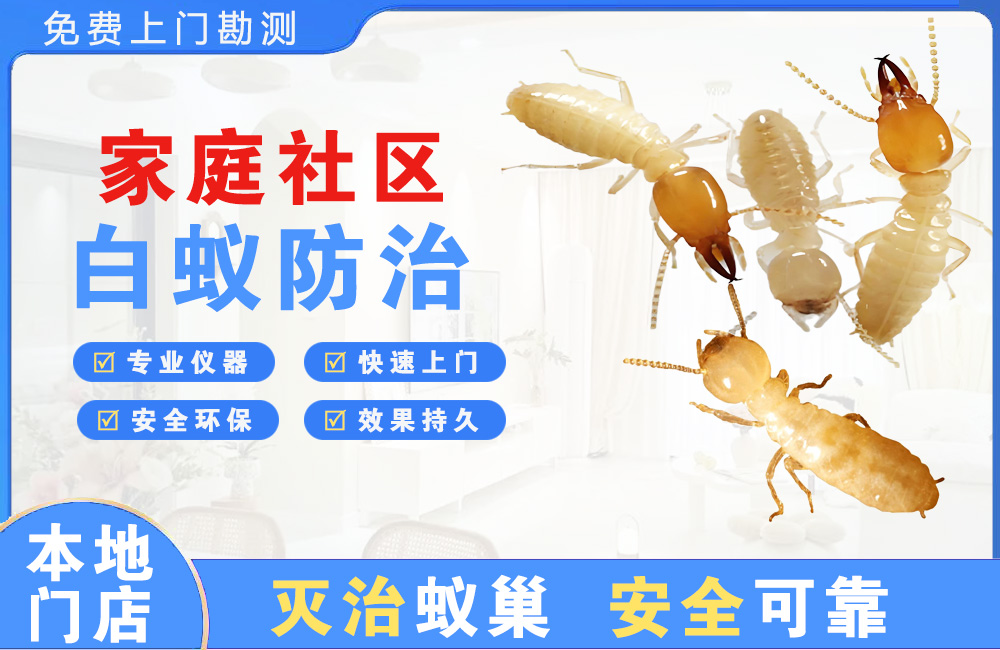 东阳家庭社区白蚁防治
