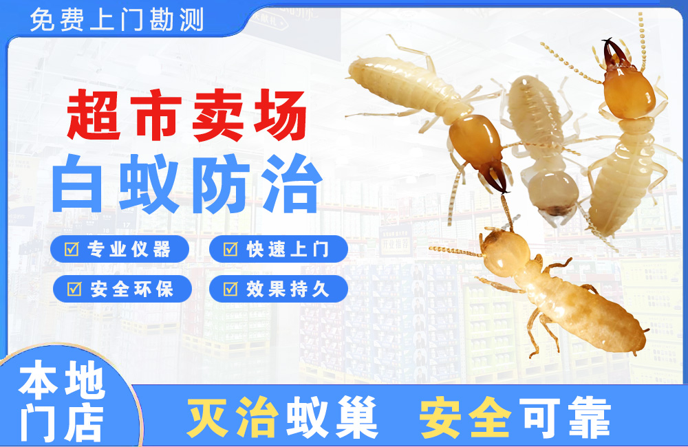 东阳超市卖场白蚁防治