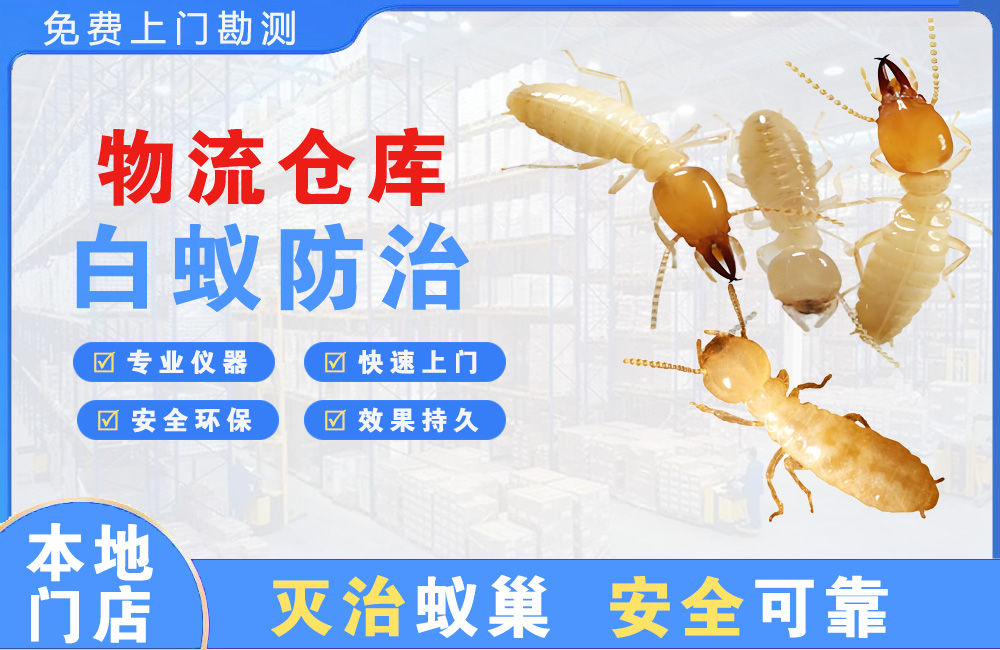 东阳物流仓库白蚁防治