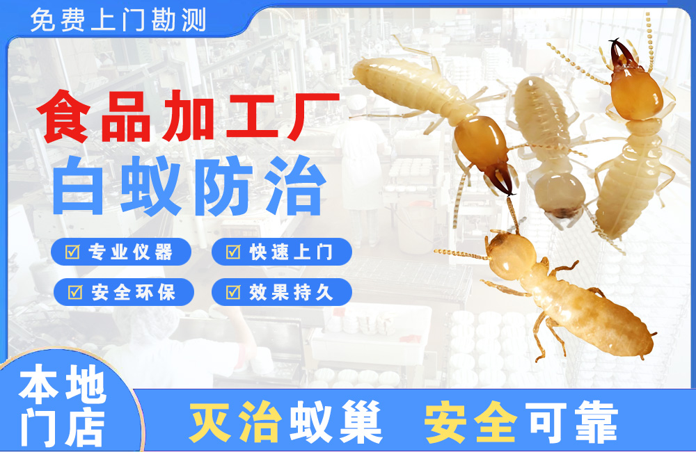 东阳食品加工厂白蚁防治