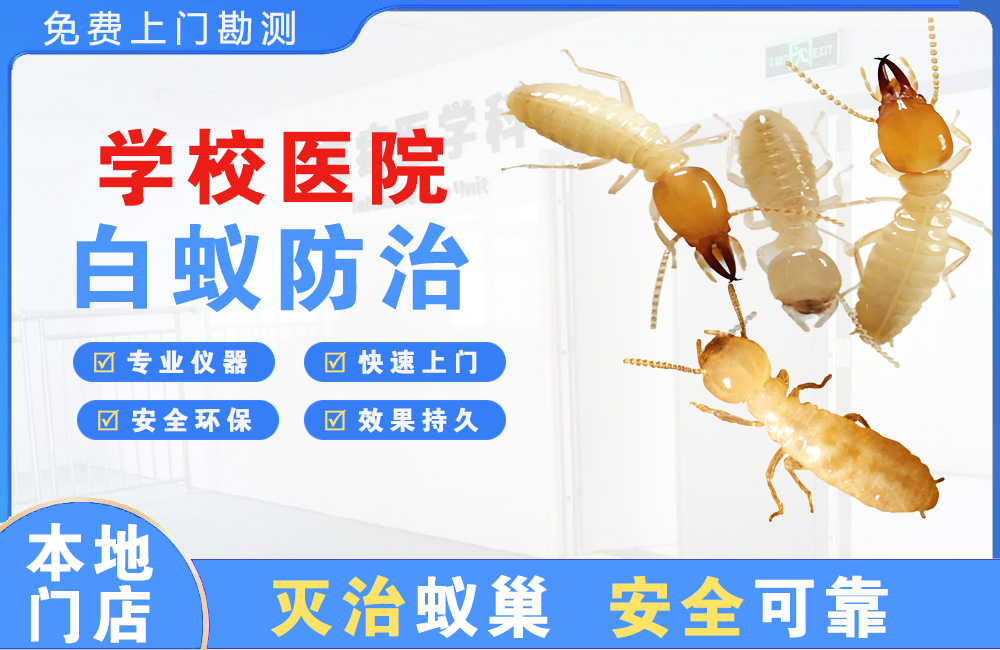 东阳学校医院白蚁防治
