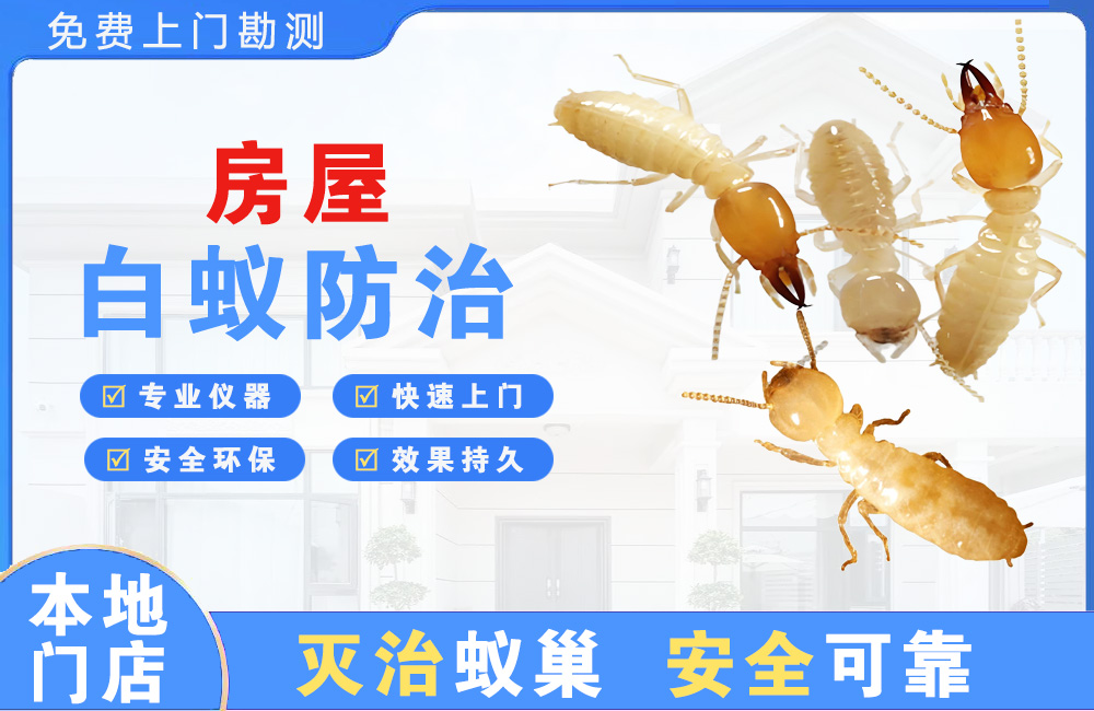 东阳房屋白蚁防治