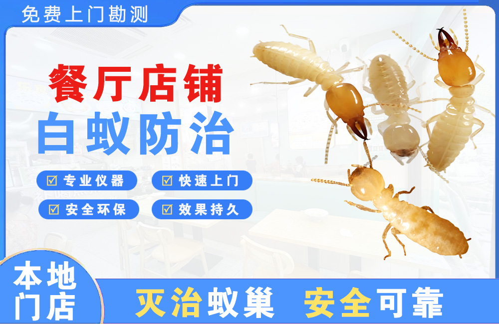 东阳餐厅店铺白蚁防治